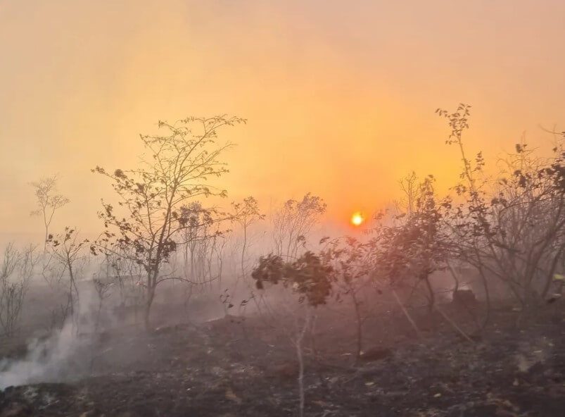 Incêndio atinge área de vegetação em Padre Carvalho