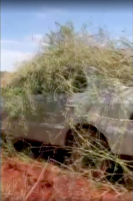 Jovem anda 10 quilômetros após assalto para pedir ajuda