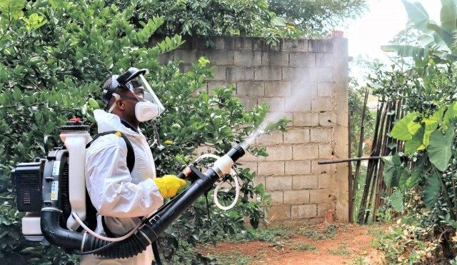 Risco de epidemia na região aumenta