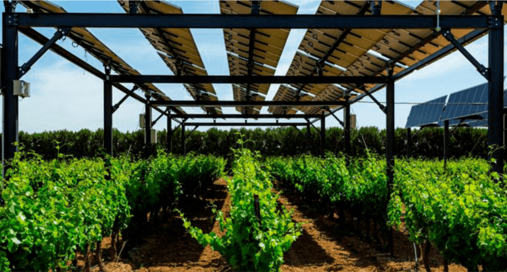 Projeto sobre uso de energia solar na agricultura avança