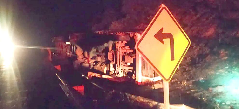 Carreta carregada com bois tomba na BR-251