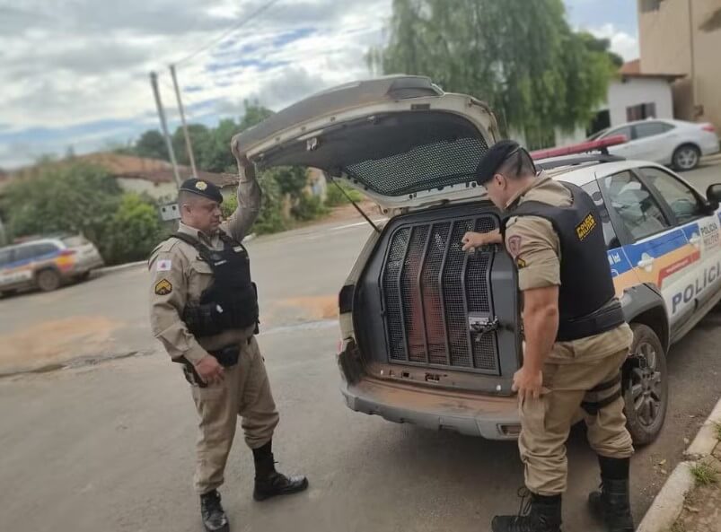 Foragido da justiça de SP por homicídio é capturado no NM