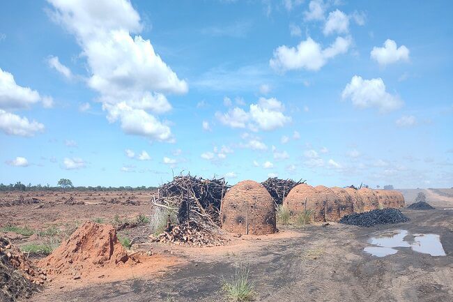 Operação contra desmatamento ilegal gera R$ 15 mi em autuações
