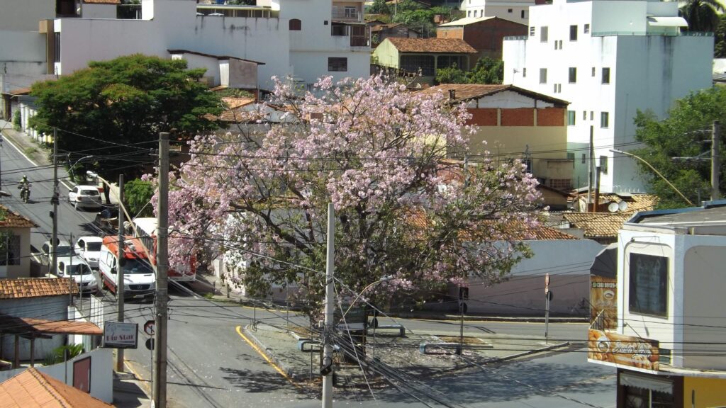 Município adia início do prazo de inscrições para o dia 1º de julho