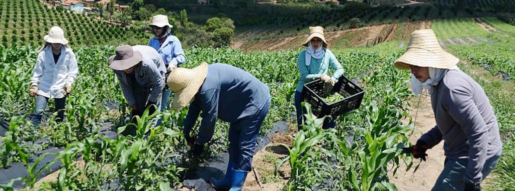 Sudene garante R$ 20,3 bi do FNE para agricultura familiar