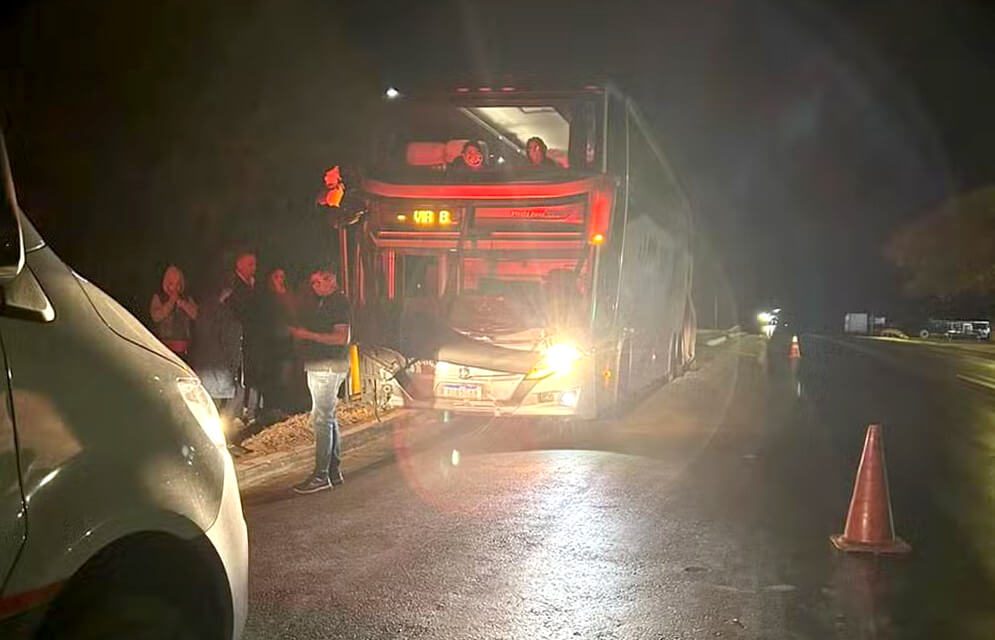 Pneu estoura e ônibus bate em barranco na rodovia 251