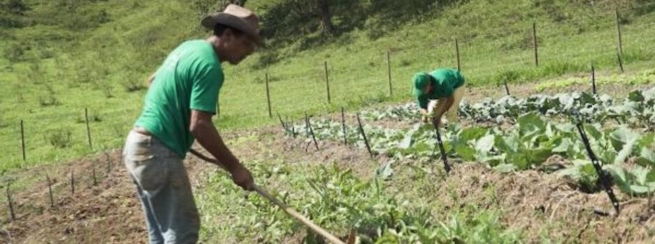 Minas tem edital de fomento ao cooperativismo aberto