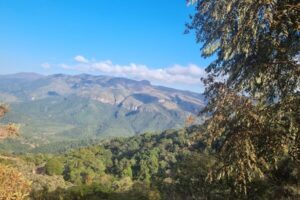 Ação mobiliza comunidades para a conservação da biodiversidade