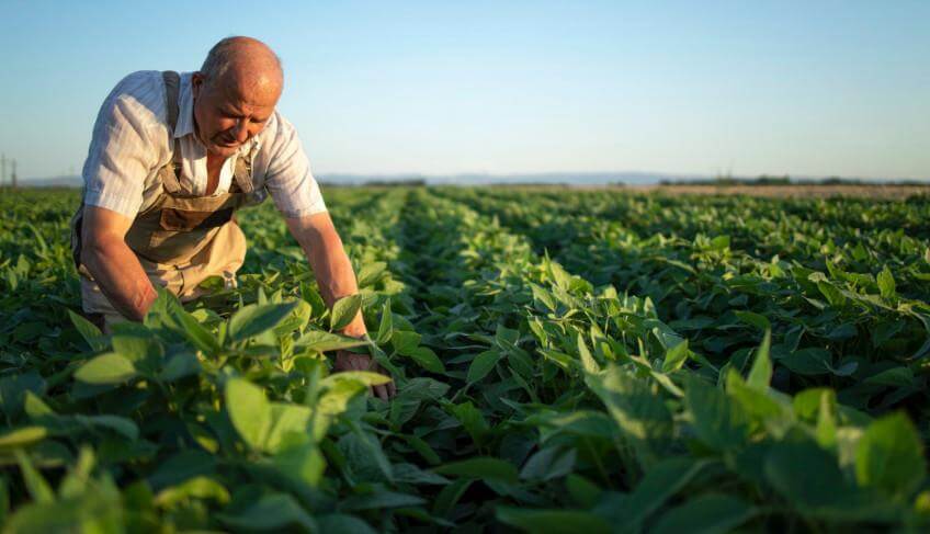 Sebrae e parceiros realizam 3º Seminário de Empoderamento da Agricultura Familiar