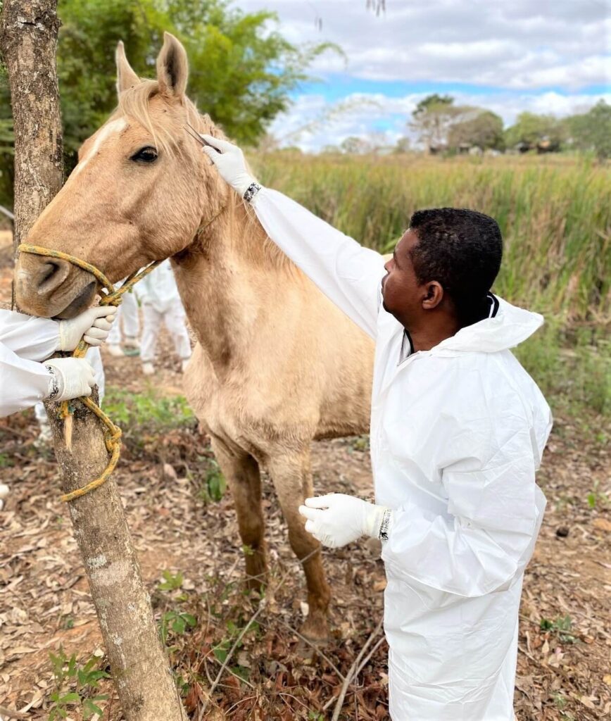 Cievs alerta para caso de febre maculosa