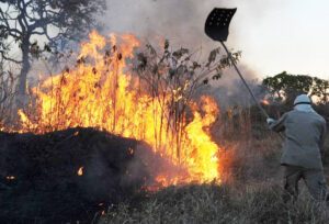 Incêndios prejudicam 28 mil clientes na região