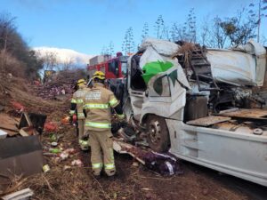 Carreta capota e provoca morte de motorista na 251