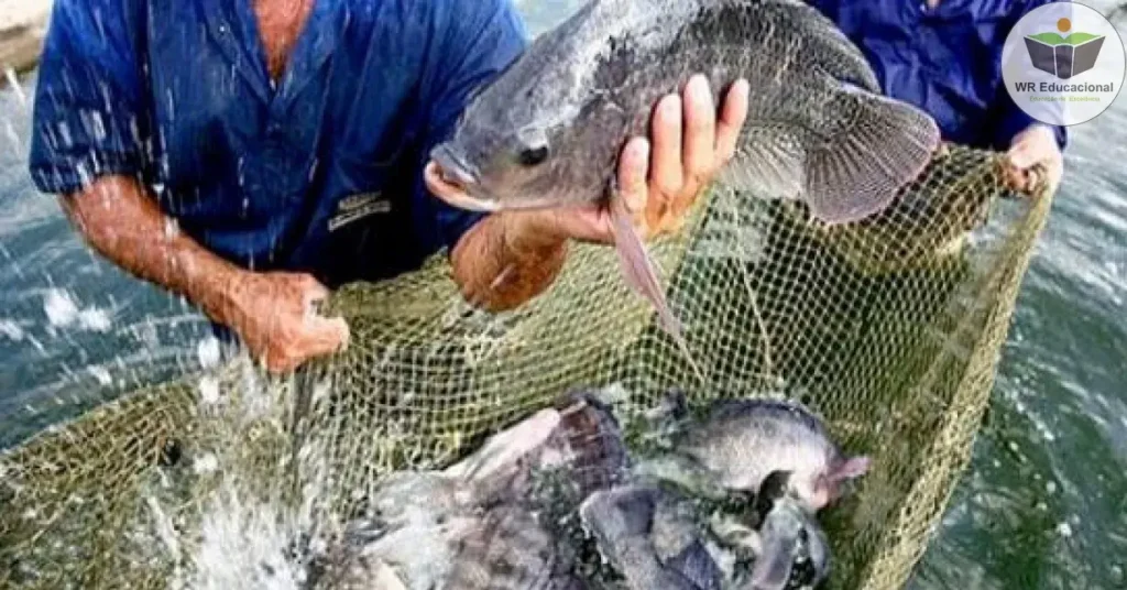 IFNMG aoferta 270 vagas em cursos gratuitos na área de aquicultura no Norte de Minas