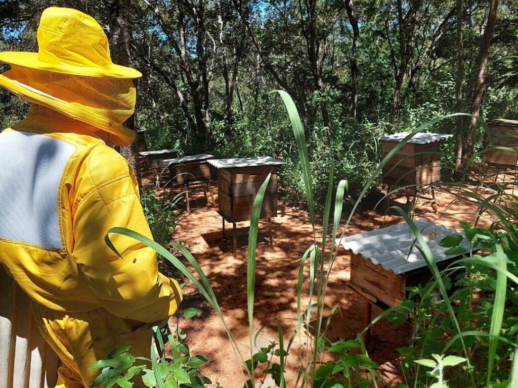 Norte de Minas será contemplado com novas turmas