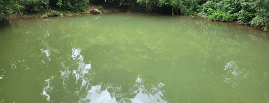 Jovem morreu afogado em poço no Rio Celro, localizado na saída para Januária.