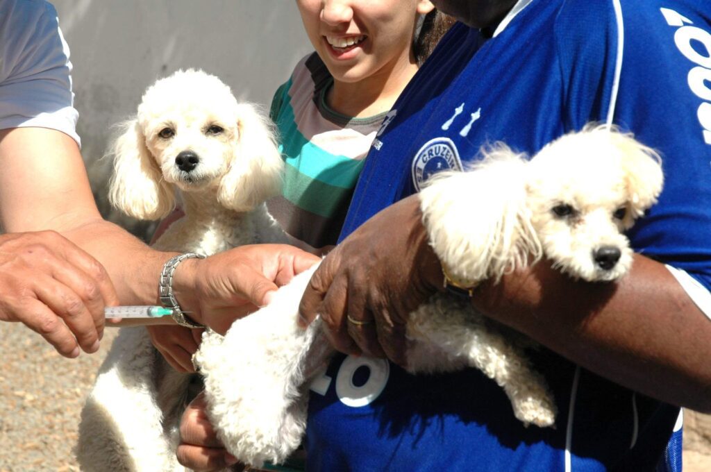 Norte de Minas inicia vacinação nesta sexta