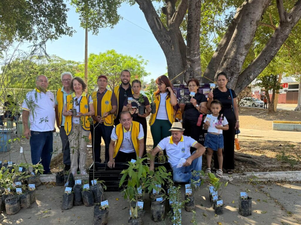 Lions distribui mudas e pede reflexão sobre desmatamento na região