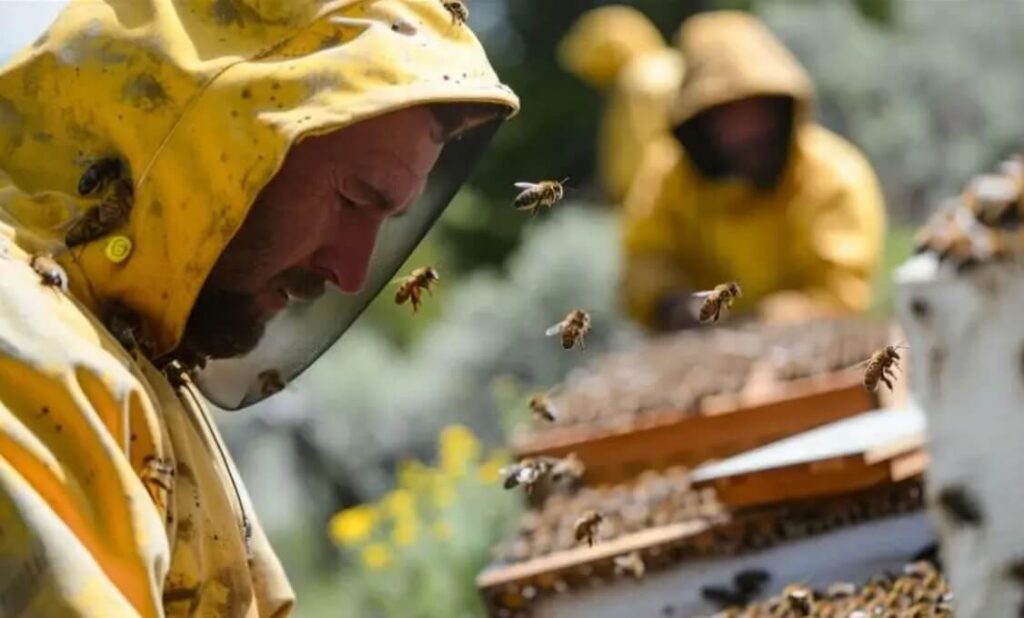 Cidade receberá 5º Congresso de Apicultura