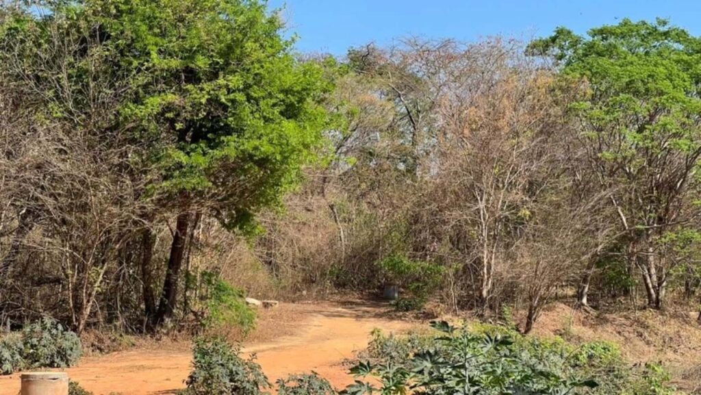 Corpos de casal são encontrados em chamas
