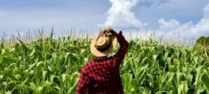 Cidade receberá rodada para a renegociação de dívidas rurais