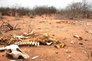 Amams cobra aos governos ações urgentes