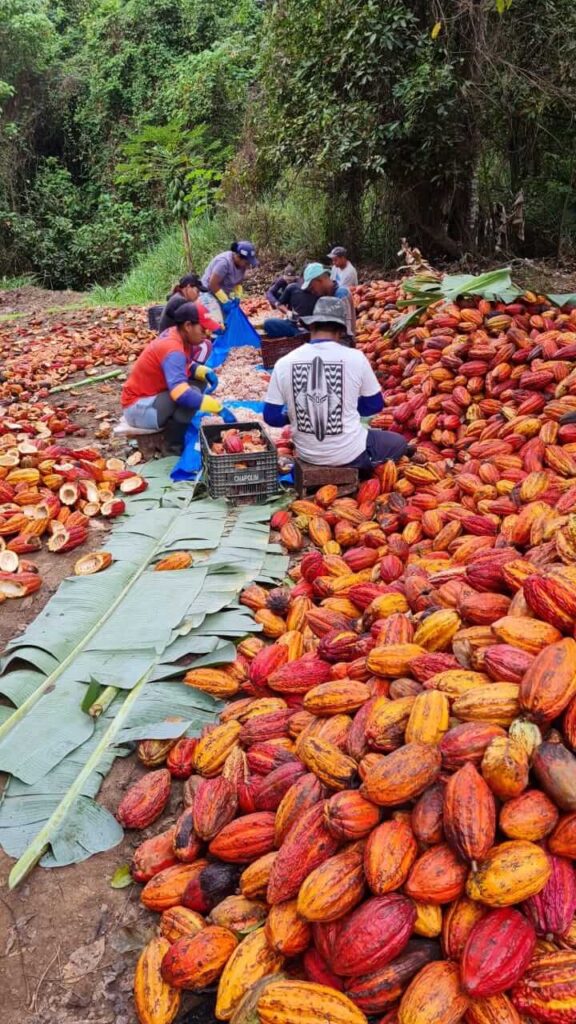 Técnica projeta o Norte de Minas no mercado mundial