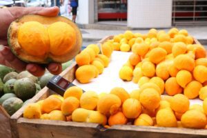 Amarelinhos chegam à cidade