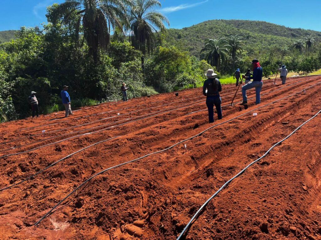 Projeto fortalece produção agropecuária no Norte de Minas