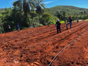 Projeto fortalece produção agropecuária no Norte de Minas