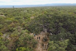 Projeto impulsiona ações de preservação
