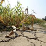 Seca extrema coloca Minas Gerais em alerta