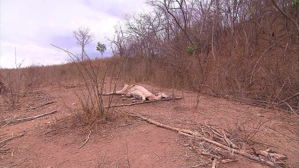 Governo Federal reconhece situação de emergência pela seca