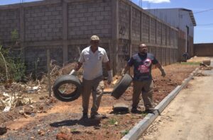 Casos de dengue despencam após ações preventivas