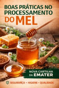 Boas práticas no processamento do mel são tema de nova cartilha da Emater