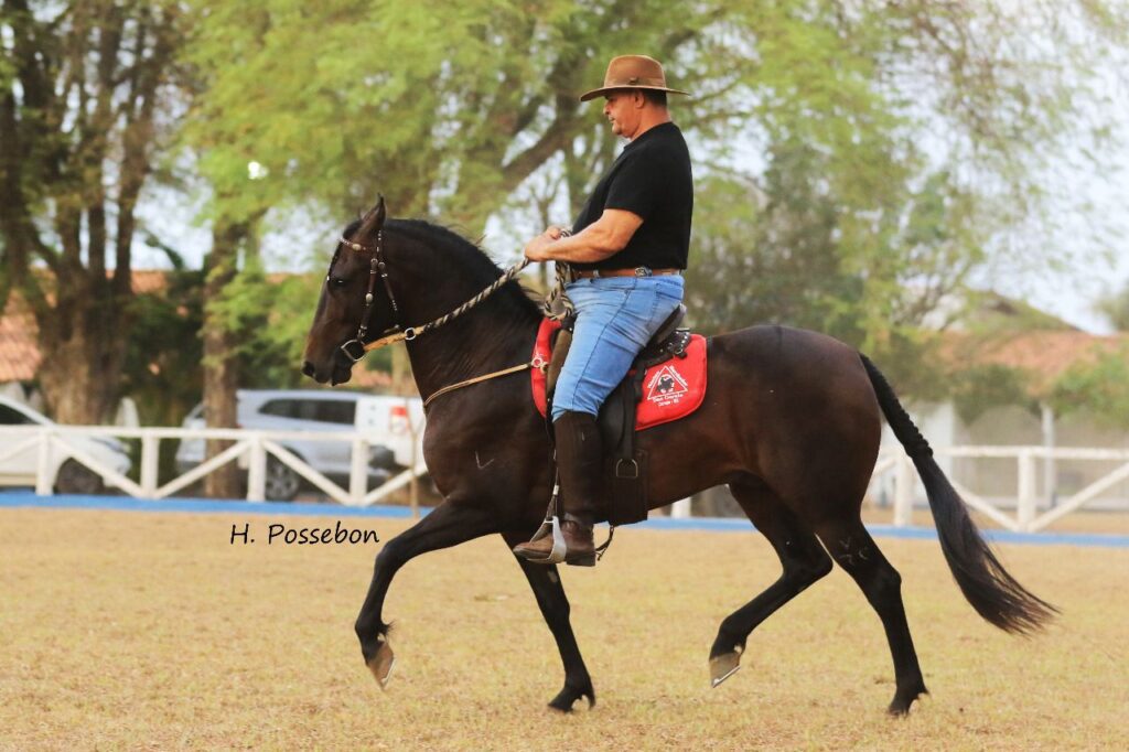 : Parque de Exposições sedia o "Poeirão João Leite" em fevereiro