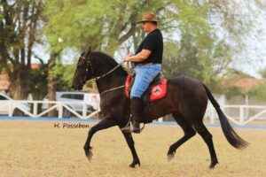 : Parque de Exposições sedia o "Poeirão João Leite" em fevereiro