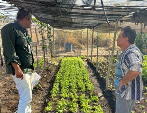 Técnico de campo Sistema Faemg Senar