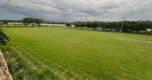 WhatsApp-Image-2026-01-23-at-17.23.11-3-347x184