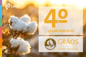 Produção de grãos e área plantada mantém perspectiva