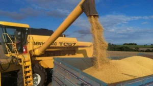 Safra 2025/26 deve alcançar 353,4 milhões de ton em grãos