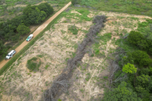 Caatinga Resiste" aplica multas de R$ 20 mi no NM