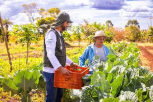 Amams promove inclusão de mais famílias no Plano Safra