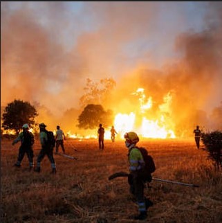 Até meados de agosto, mais de 550 mil hectares haviam sido consumidos por incêndios na União Europeia