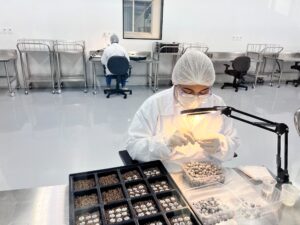 Biofábrica robotizada de Montes Claros pode germinar 1,7 milhão de sementes por ms