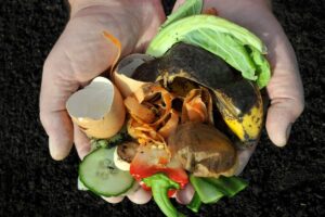 COMPOSTAGEM