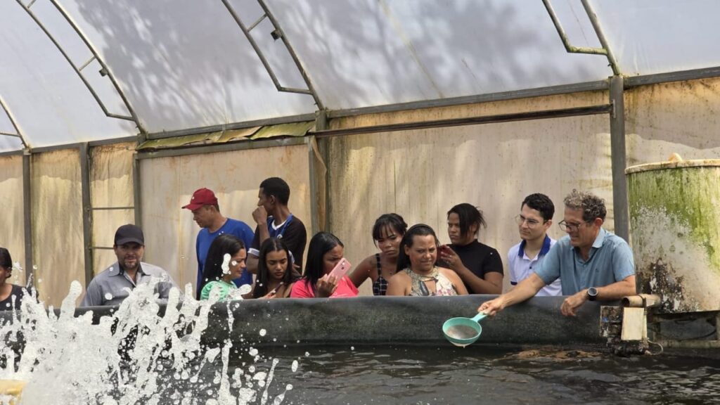 Missão técnica promovida pelo Sebrae Minas levou o grupo até Morada Nova de Minas, maior município produtor de tilápia do Brasil