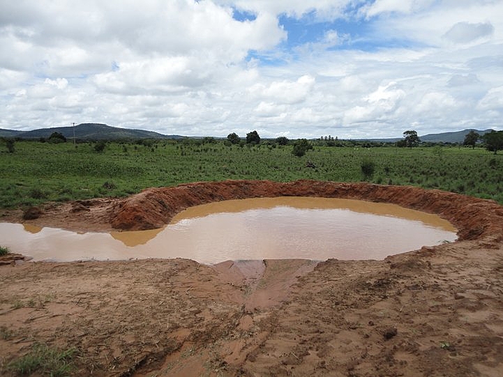 Estiagem e altas temperaturas reduzem umidade do solo e preocupam produtores rurais