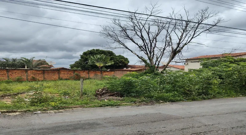 A concorrência ocorre de forma 100% digital no portal oficial da MGI. O período de cadastro prévio para pessoas físicas ou jurídicas e envio de lances segue aberto até 20 de novembro